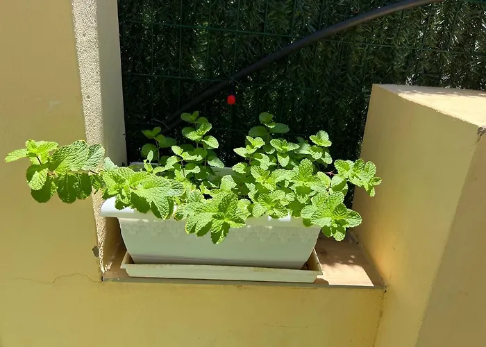 Appartement Sonneland , Sonemar